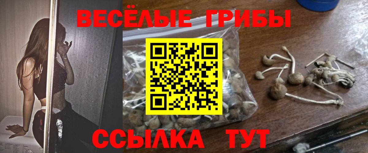 Хабаровск  Псилоцибиновые грибы MAGIC MUSHROOMS  Вход с VPN 